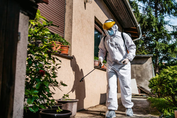 Reliable White Bear Lake, MN Pest Control Solutions