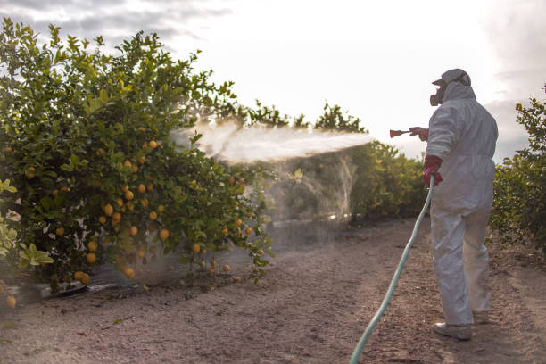 Best Pest Prevention Services  in White Bear Lake, MN